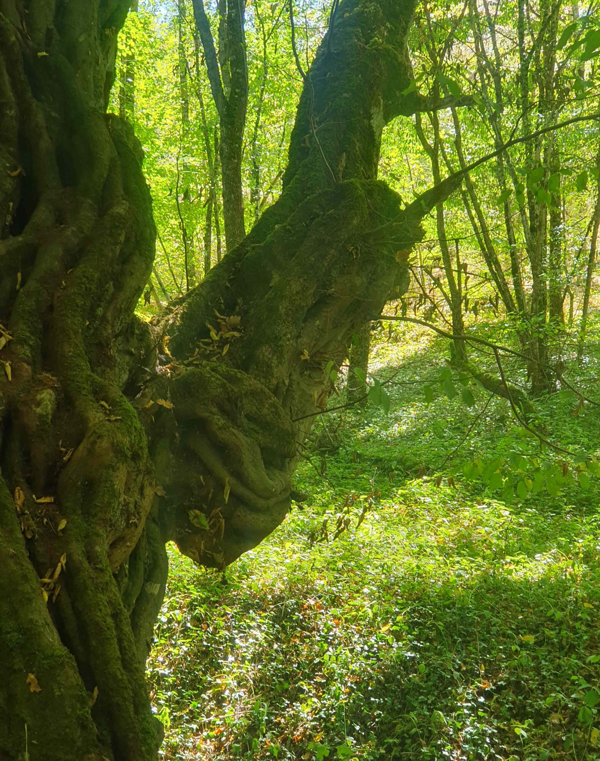 coaching kan deugd doen